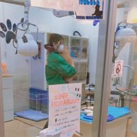 無抵抗で連れて行かれました
