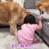 ほのちゃんがキャッチ！！