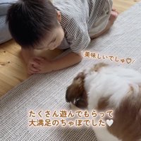 ごはんを食べる犬の様子をのぞき込む男の子