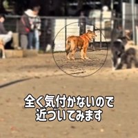 まったく気づかないラッキーくん