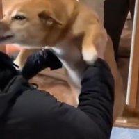 幸せ