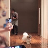 リングドッグに挑戦するつぶちゃん6