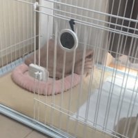 開いた扉のあるケージ