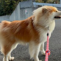 強風の日は神々しい姿に