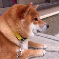 別れの時間もセット…