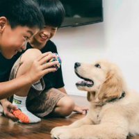 昔から犬が大好きだった