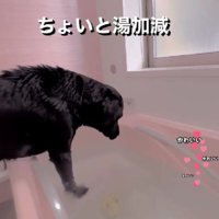 ちょうどいい♪