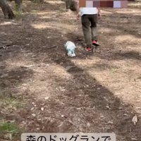 パパ、ママと一緒にドッグランへ