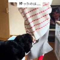 カーディガンをガブッ