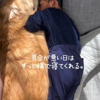 具合が悪い息子さんときなこちゃん