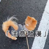 「あっちもこっちも見てみたい」