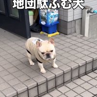 すでに顔が不機嫌