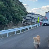 工事現場の詰め所