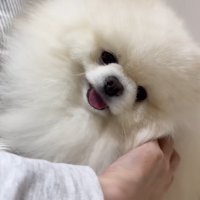 幸せそう♡