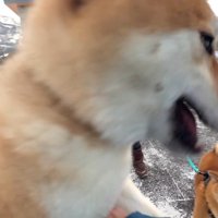 飛びついて熱烈歓迎♡