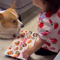 いなり君に読み聞かせをする女の子6