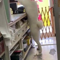 自主的にレジの練習♪
