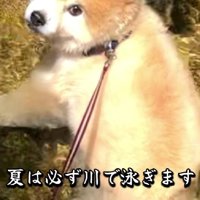 水遊びが大好きなのだそう