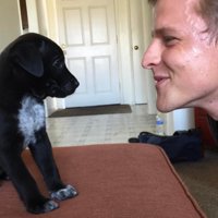 現在のご主人も仲良し