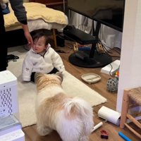 ぽんちゃんを触ろうとする友達