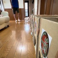 大騒ぎな子犬たちの食事