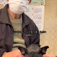 眠ったぶーちゃん