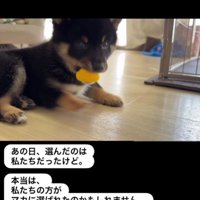 運命的な出会いに感動…