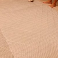 うつ伏せになる犬
