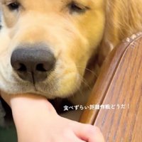 「お腹が空いて倒れそう…」