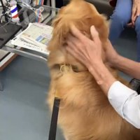 耳下をマッサージ