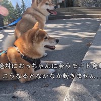 頑固なところも愛おしい♡