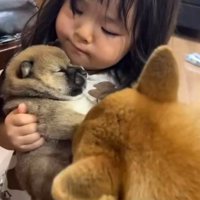 子犬を抱っこする娘さん