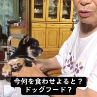 宮崎弁のおばあちゃん