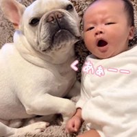 あくびが移っちゃった！？