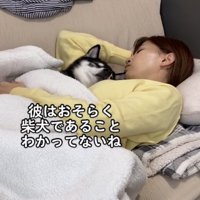 女性の腕枕で寝る黒柴「犬であることを分かってない」