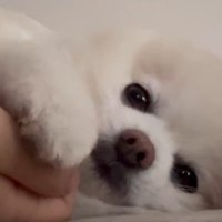 二度寝