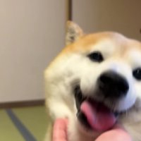 幸せいっぱいだね♡