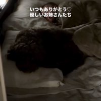 ママは2匹への感謝でいっぱい