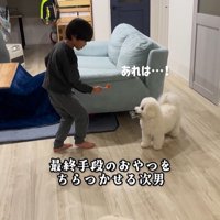 まる君VS男の子9