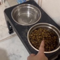 セットされたご飯