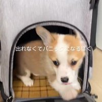 「ここだったのか！」