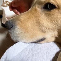 横目でチラ見