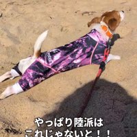 カイくんは砂遊び♪