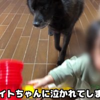 なぜか泣かれちゃう…