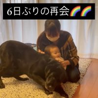 今日からはずっと一緒