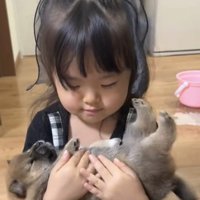 子犬を両手で包む女の子