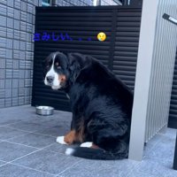 さみしがるララちゃん