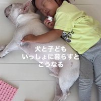 一緒にゴロゴロ♪