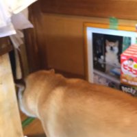 いそいそと店の奥へ…