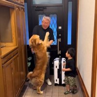 お父さんに飛びつくマッシュくん